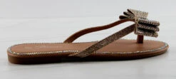 Forever Fannie 102 Womens Rhinestone Bow Embellished Thing Strap Sandals -Bamboo Store Fannie102Champagne 2