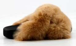 Oasis 1K Little Girls Criss Cross Band Ultra Furry Slides 24 Oasis 1K Little Girls Criss Cross Band Ultra Furry Slides -Bamboo Store Oasis1KCamel 2