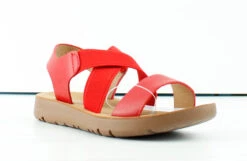 Reform 53K Little Girls Criss Cross Elastic Strap Flat Sandals -Bamboo Store Reform53k 2